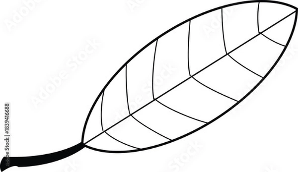 Fototapeta Simple line art drawing of a single botanical leaf with prominent venation design element vector graphic. isolated on transparent background, Vector