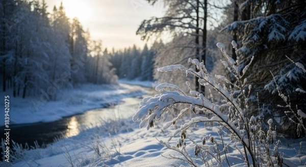 Fototapeta Sunlight illuminates fresh snow clinging to delicate branches beside a partially frozen waterway winding through a dense forest.