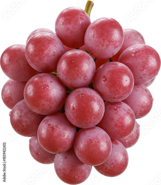 Obraz 포도 과일 열매