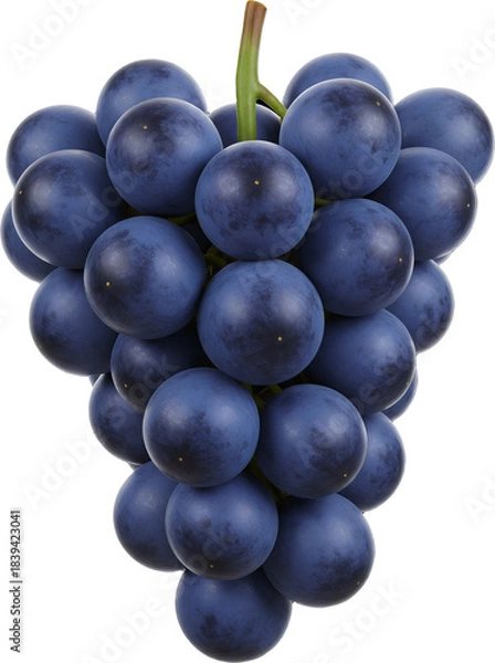 Obraz 포도 과일 열매