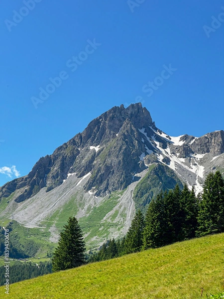 Obraz French alpine meadow and Snowy Peak in the Summertime 