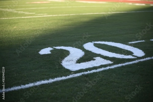 Fototapeta Close-up View of the Number 20 Painted White on a Lush Green Football Field