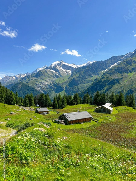 Obraz Chalets and the French mountain landscape in the summertime 
