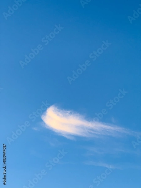 Obraz Single Cloud Against Blue Sky