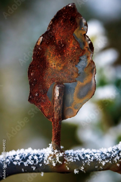 Fototapeta Rusty , metal , leaf