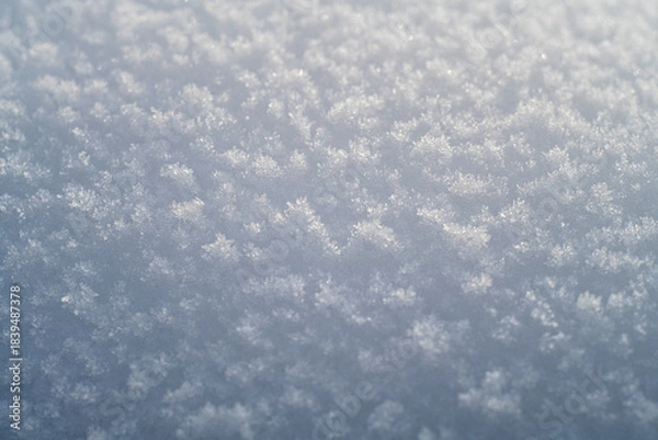 Fototapeta Just Snow