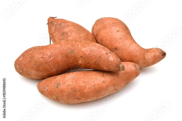Obraz Sweet potato on the white background