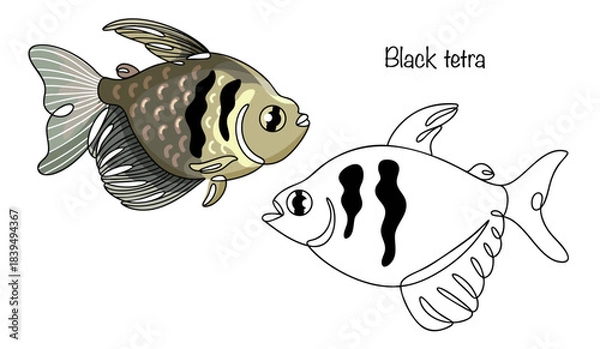 Obraz Black tetra