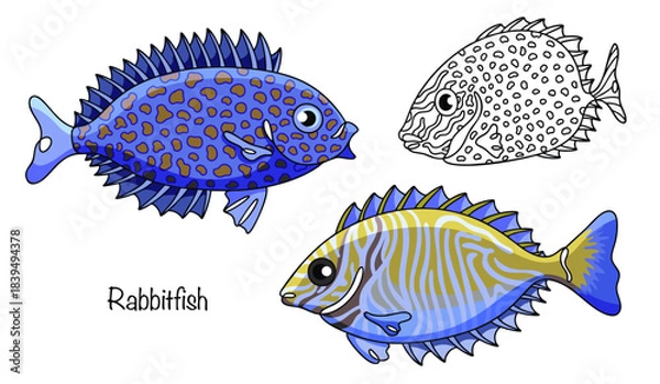 Obraz Rabbitfish