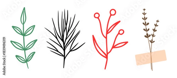 Fototapeta Illustration of four different types of plants with leaves and flowers in various colors