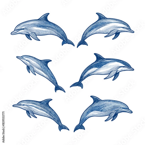 Obraz Dolphin Line Art Collection in Blue
