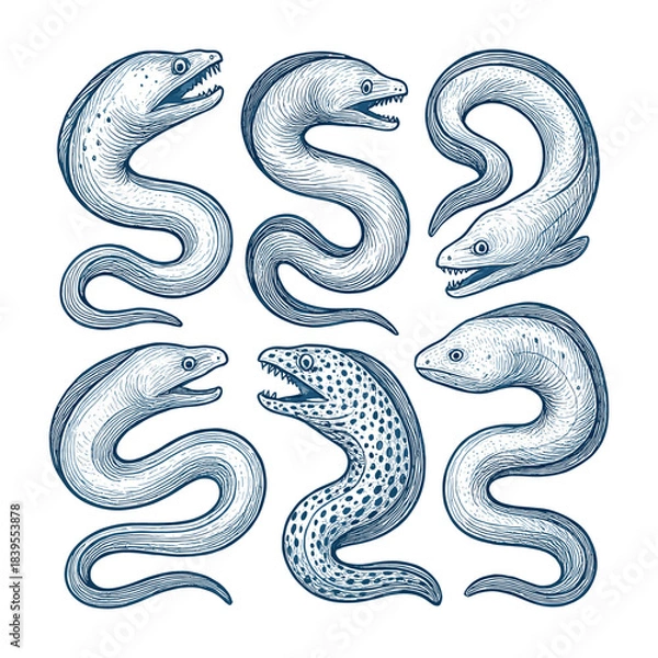 Obraz Eel Hand-Drawn Collection in Blue