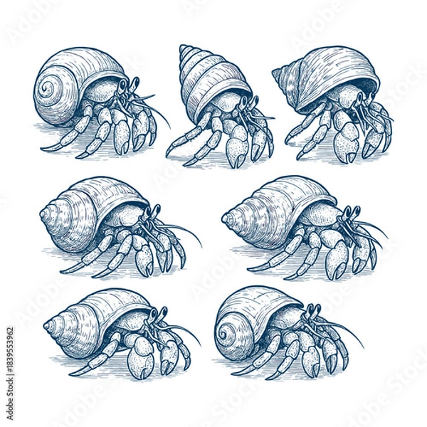 Obraz Hand-Drawn Hermit Crab Shell Collection