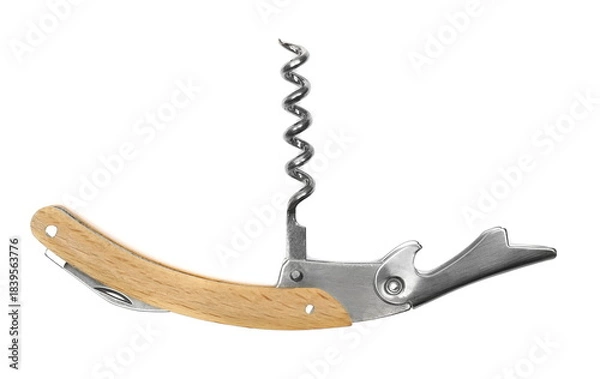 Obraz Corkscrew isolated on white background