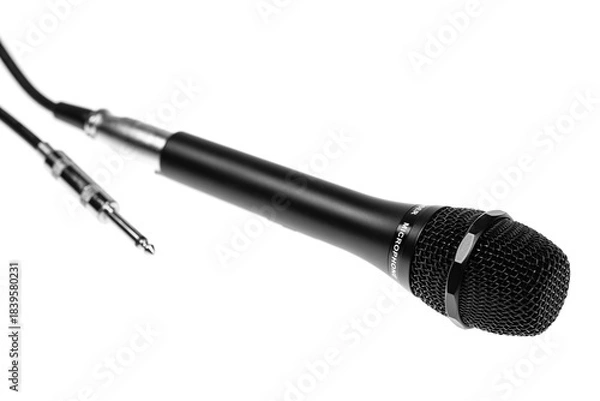 Obraz Black condenser microphone isolated on white background