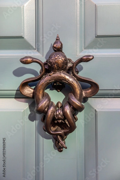 Obraz Ornate Snakes Door Knocker