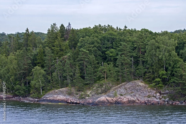 Obraz Stone cliffs of Scandinavia. Shores of the islands of the Stockholm archipelago, Sweden.