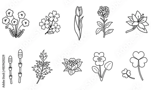 Obraz 春の草花を集めたモノクロ線画イラストセット