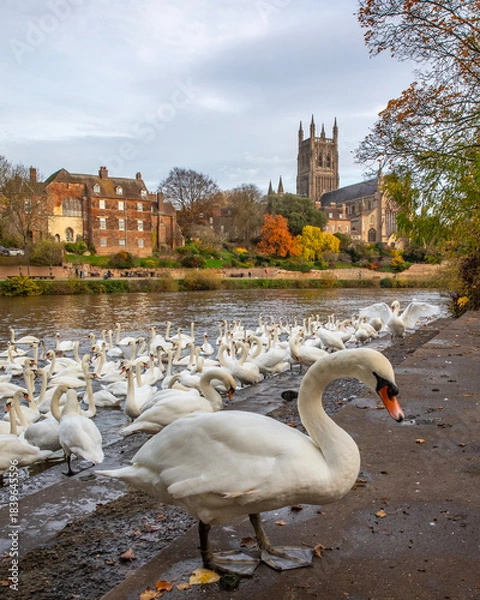 Obraz Worcester in the UK