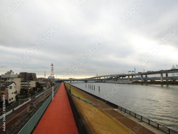 Fototapeta 中川沿いの堤防　ジョギングコース