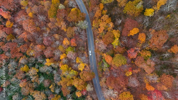 Obraz Aerial view of fall colors in the mountains.
