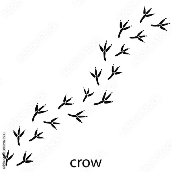 Obraz crow paw print3.eps
