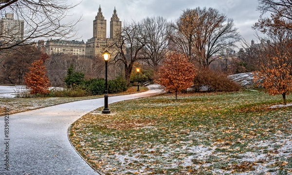 Obraz Central Park in winter  after light snow