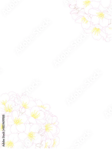 Obraz さくらのブーケ風フレーム③カラー線画_縦