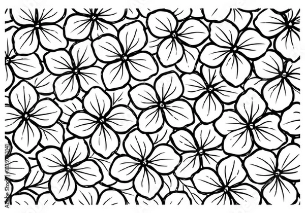 Obraz hydrangea hand drawn simple sketch vector illustration