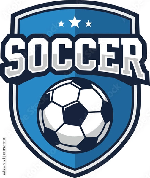 Obraz soccer ball with a ball