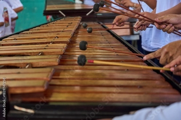 Obraz Marimba