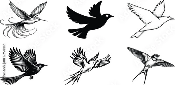Fototapeta Soaring Silhouette: An artistic representation of several different birds, depicted in a monochrome palette with distinct flight positions and styles.