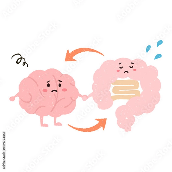 Obraz 腸脳相関　不調