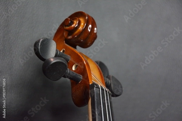 Obraz Classical guitar and classic violin up close