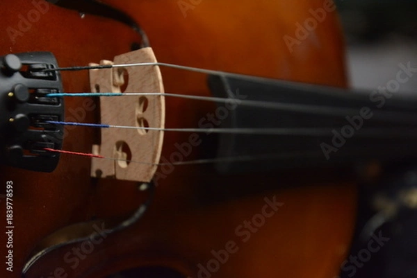 Obraz Classical guitar and classic violin up close
