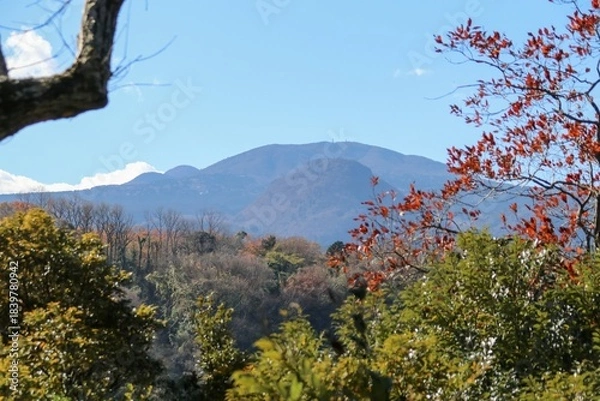 Obraz 伊豆 一碧湖の秋。大池より望む天城山。