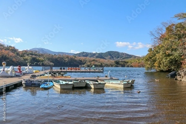 Obraz 伊豆 一碧湖の秋。大池、ボート乗り場。