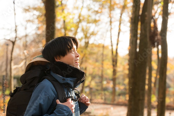 Obraz 逆光の秋冬の紅葉の山を登山をする景色を見上げる若い男性 アウトドアのお出かけやレジャーのイメージ 横顔