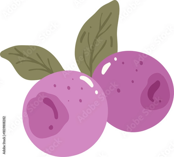 Fototapeta Cute Purple Fruit Illustration