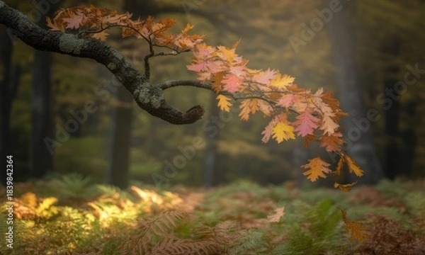 Obraz Autumnal branch reaching over a fern-covered forest floor bathed in golden light