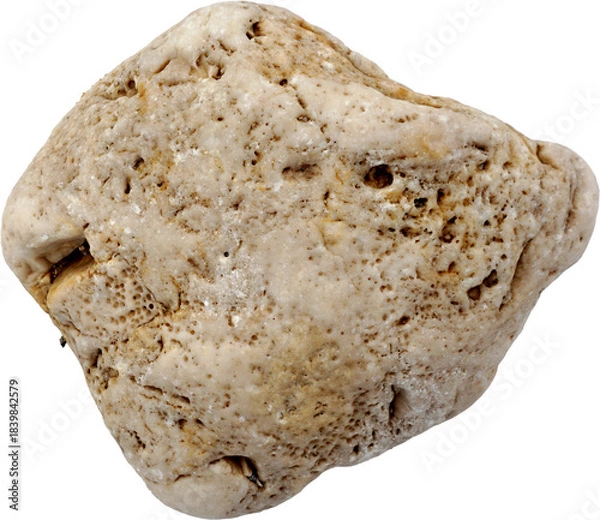 Fototapeta Porous Coastal Rock Isolated on Transparent Background