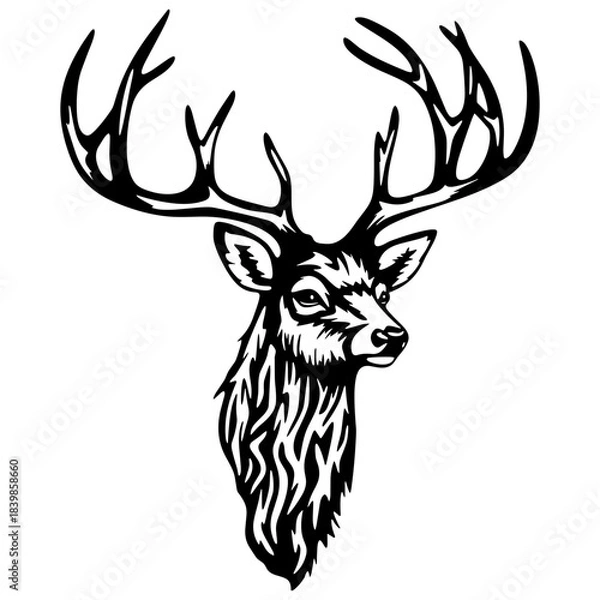 Fototapeta Cabeça de veado