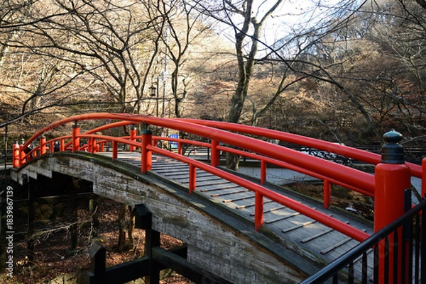 Fototapeta 伊香保温泉「河鹿橋」、冬