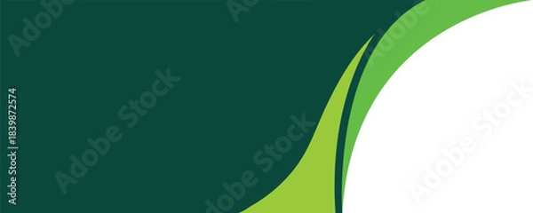 Fototapeta Abstract green and white wave design with dark green background