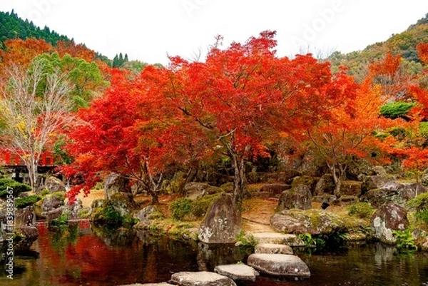 Obraz 渓石園の紅葉