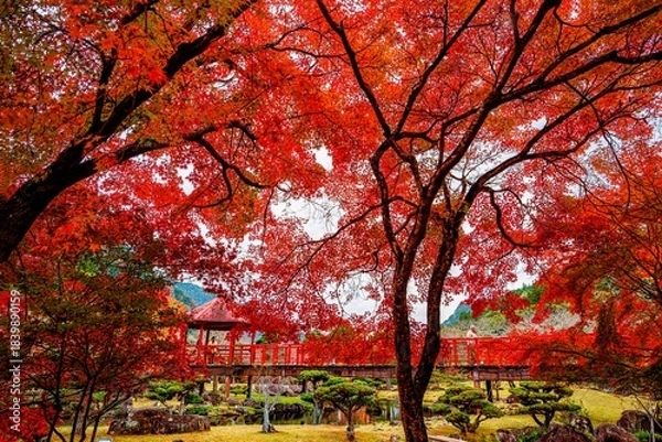 Obraz 渓石園の紅葉