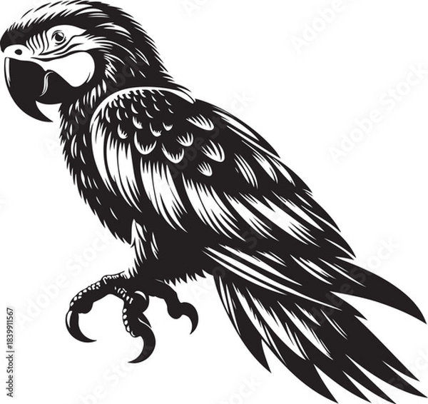 Obraz eagle cartoon isolated on white