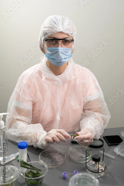 Obraz A researcher in protective gear examines aloe plants in a laboratory. The workspace features petri dishes, tools, and a microscope, highlighting the scientific study of plant applications.