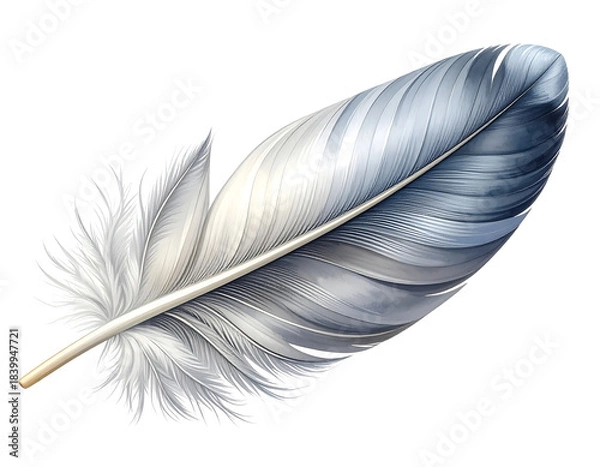 Obraz Elegant Gray and White Seagull Feather with Texture