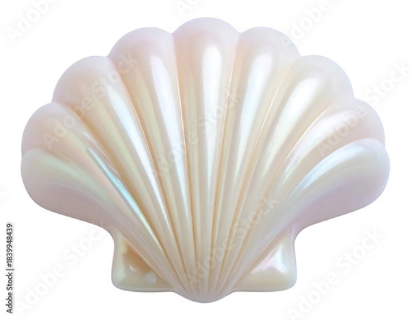 Obraz Smooth Curved Shell Soap on White Background